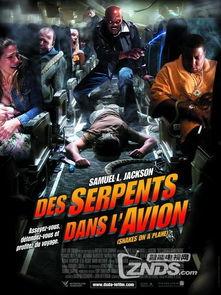 航班蛇患（国语版）,空中惊魂，生死较量