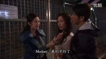 法证先锋 国语版,揭秘罪案背后的真相与正义